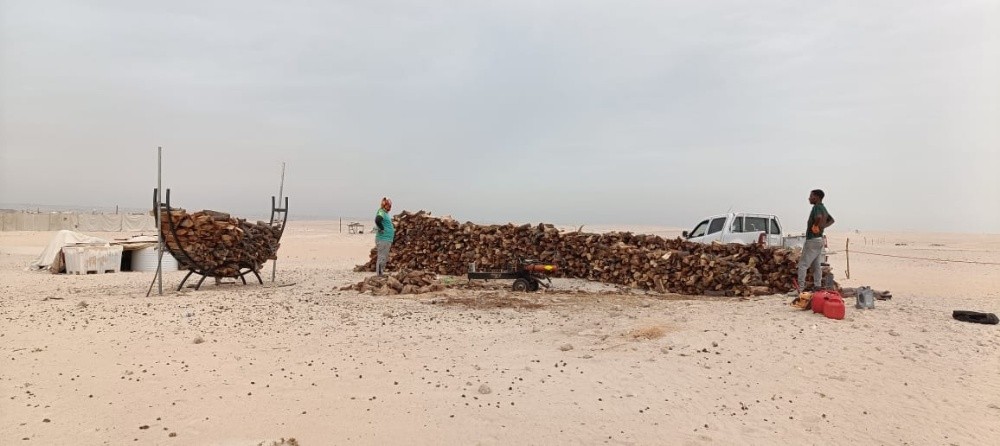 تقطيع الاشجار - 2
