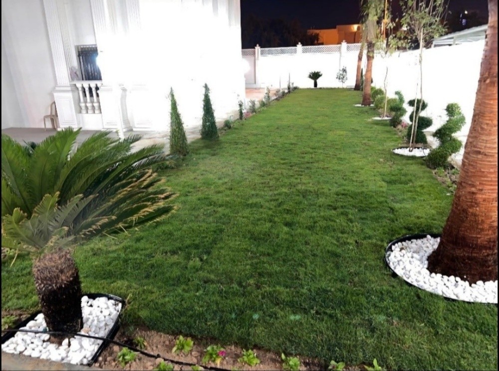 قص وترتيب الأشجار ورعايه للحدائق - 3