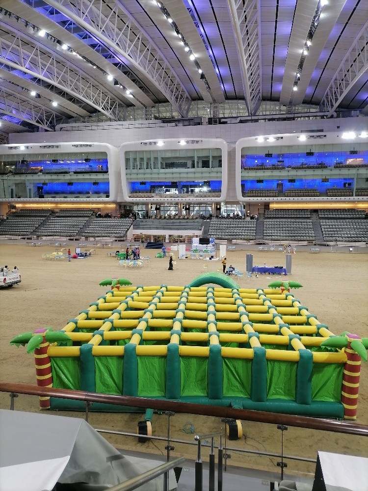 Maze 12 *12 m - 3