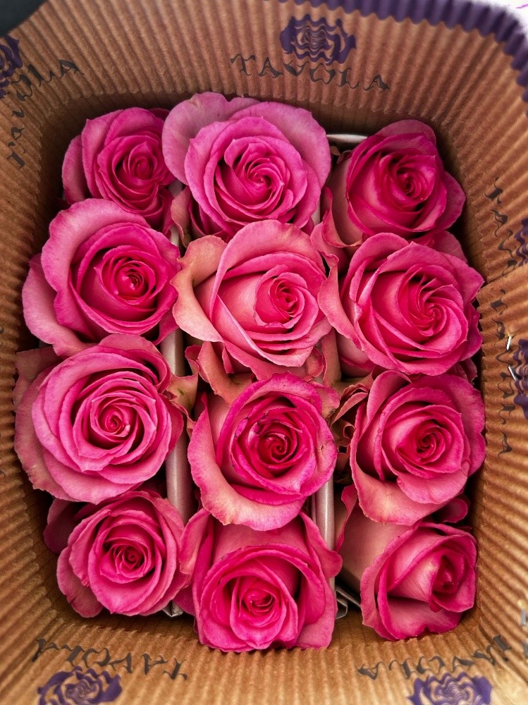 wholesale flower - 8
