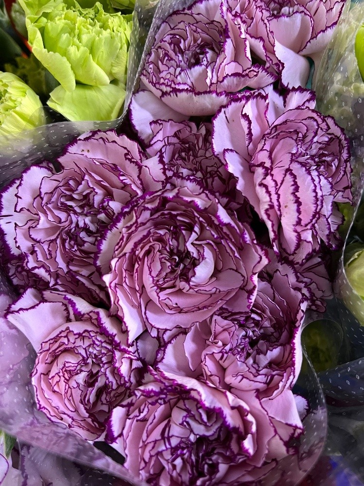 wholesale flower - 7