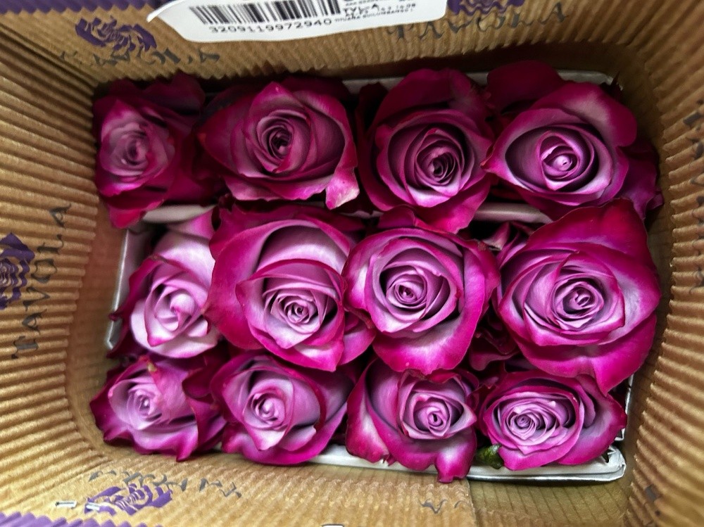 wholesale flower - 9