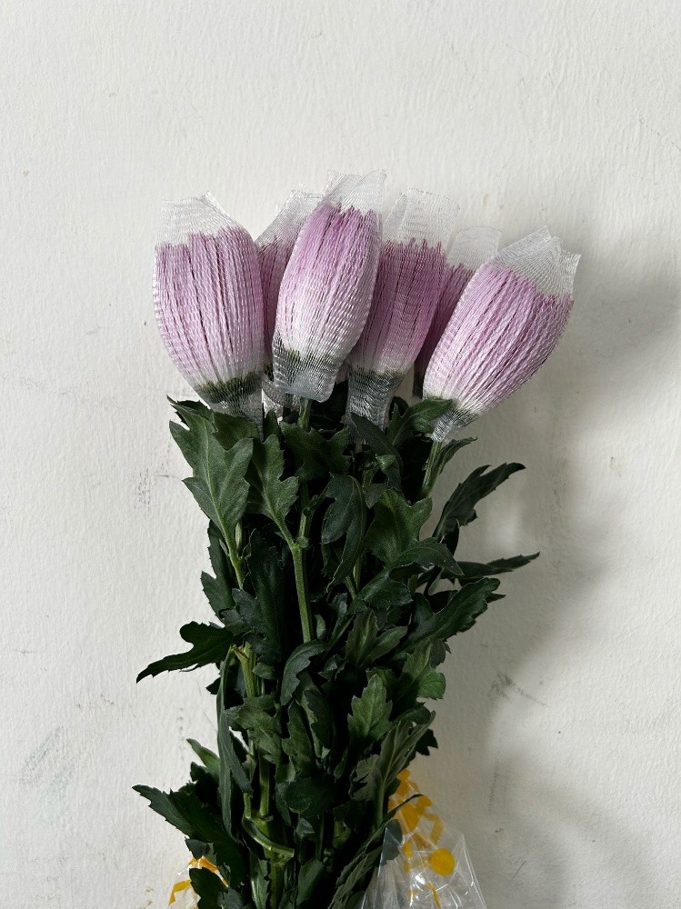 wholesale flower available - 12