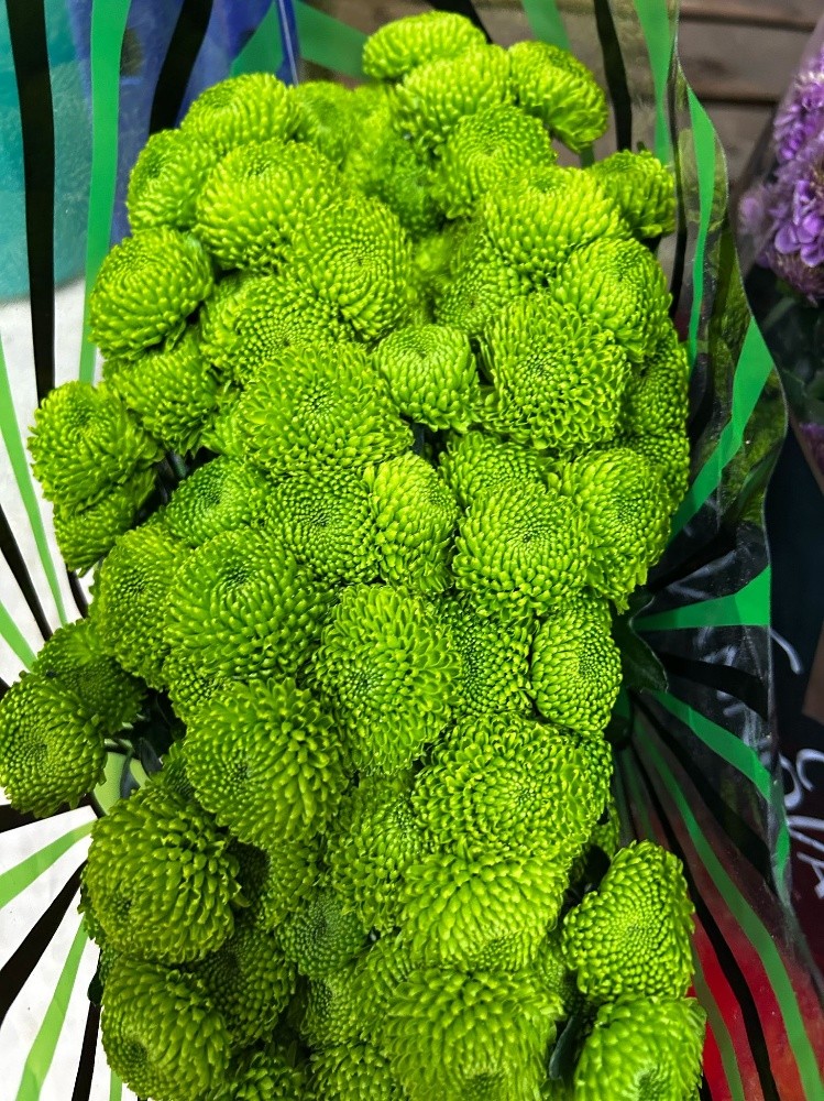 wholesale flower available - 5