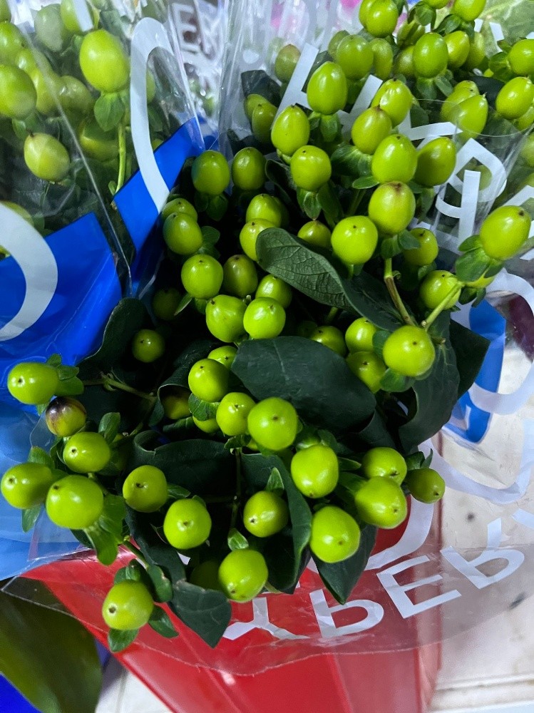 wholesale flower available - 10