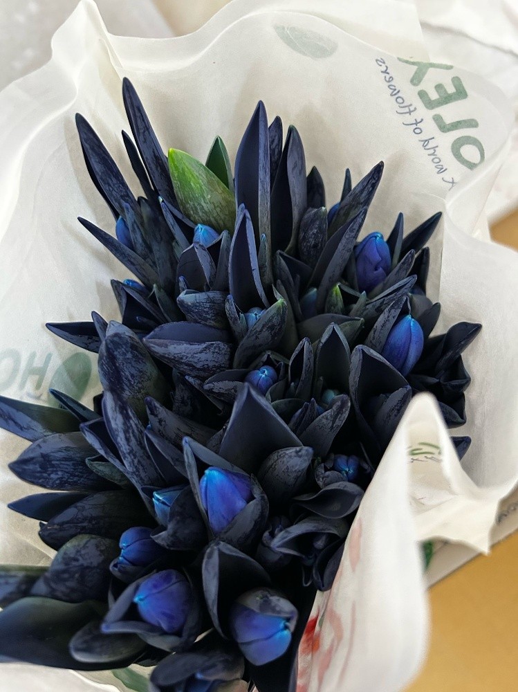 wholesale flower available - 15