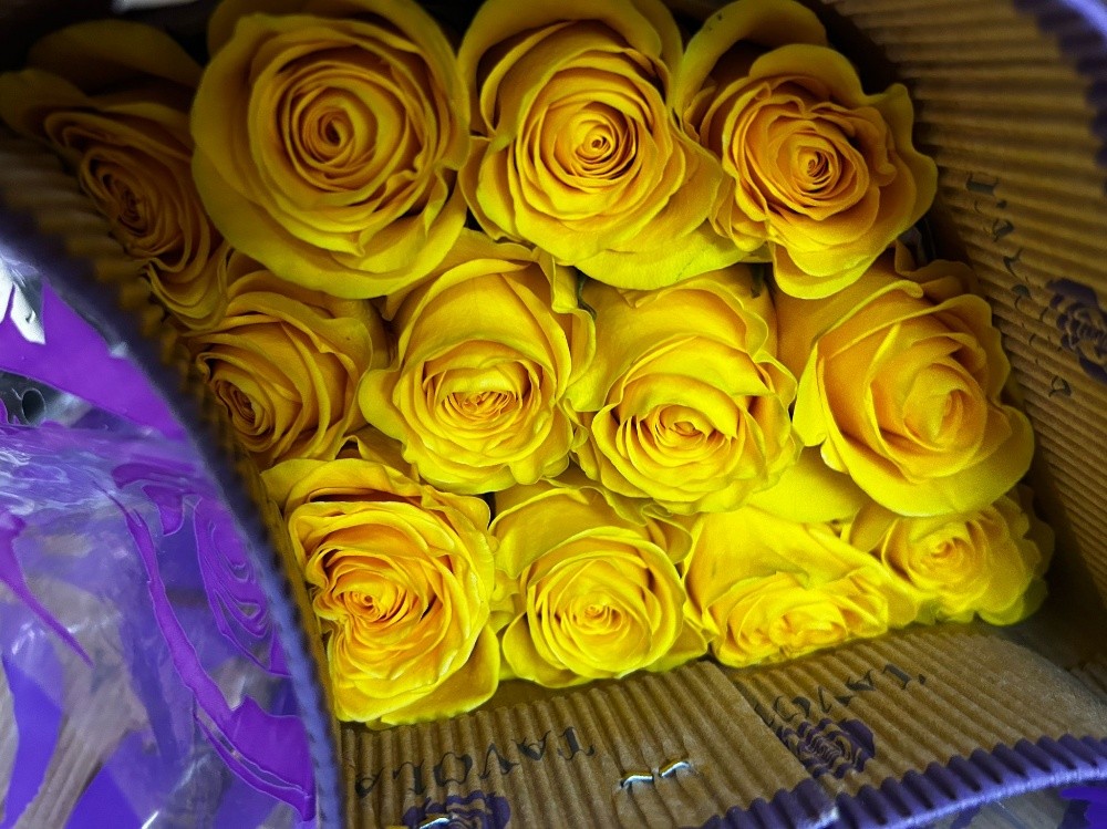 wholesale flower available - 1
