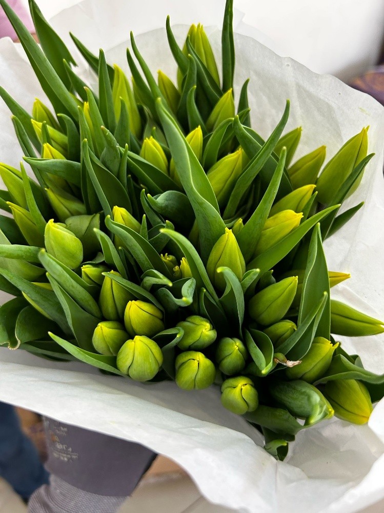 wholesale flower available - 7
