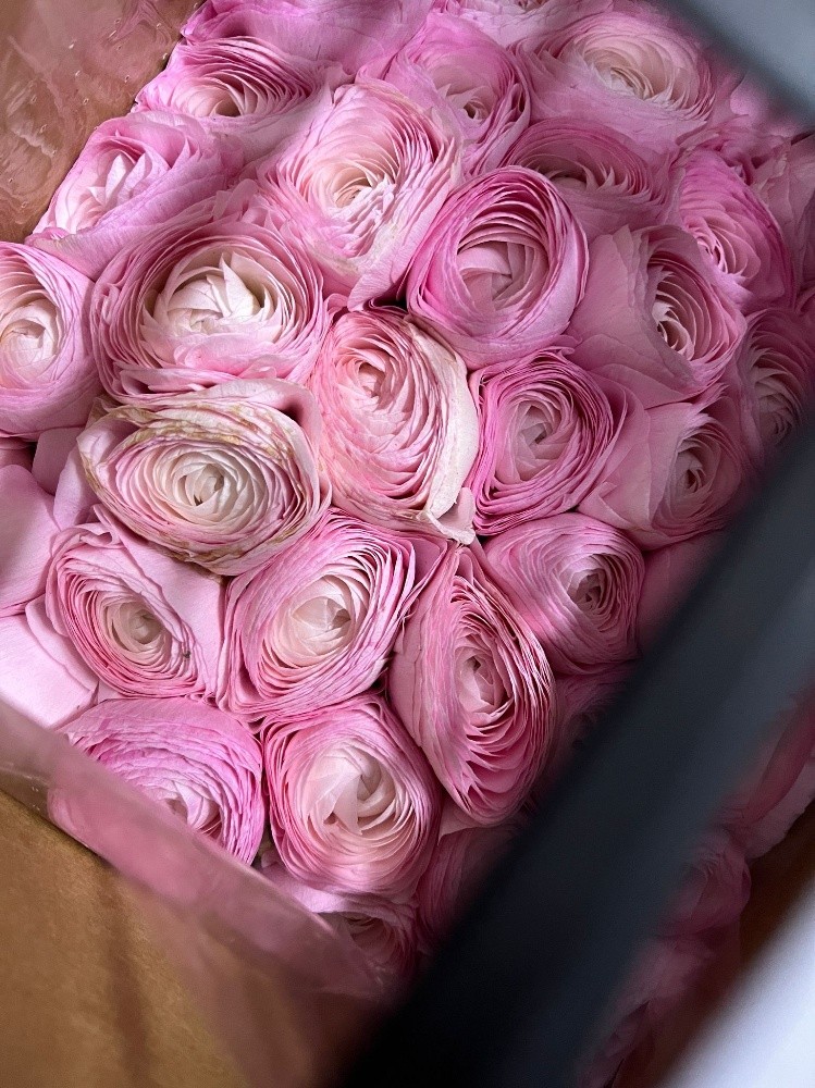 wholesale flower available - 11