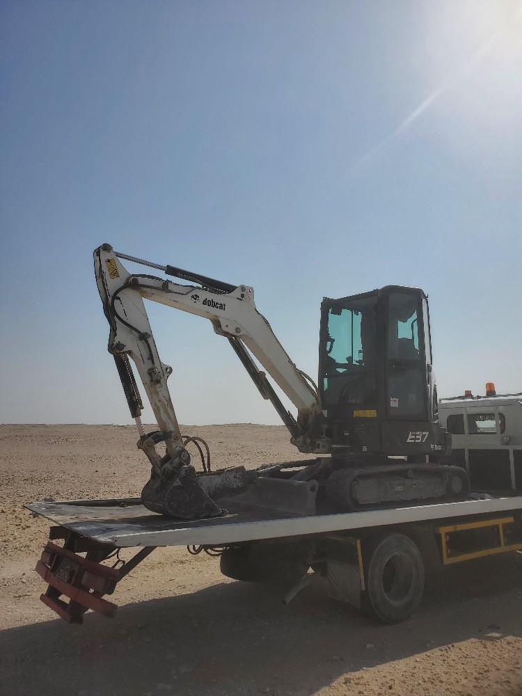 Bobcat - 2