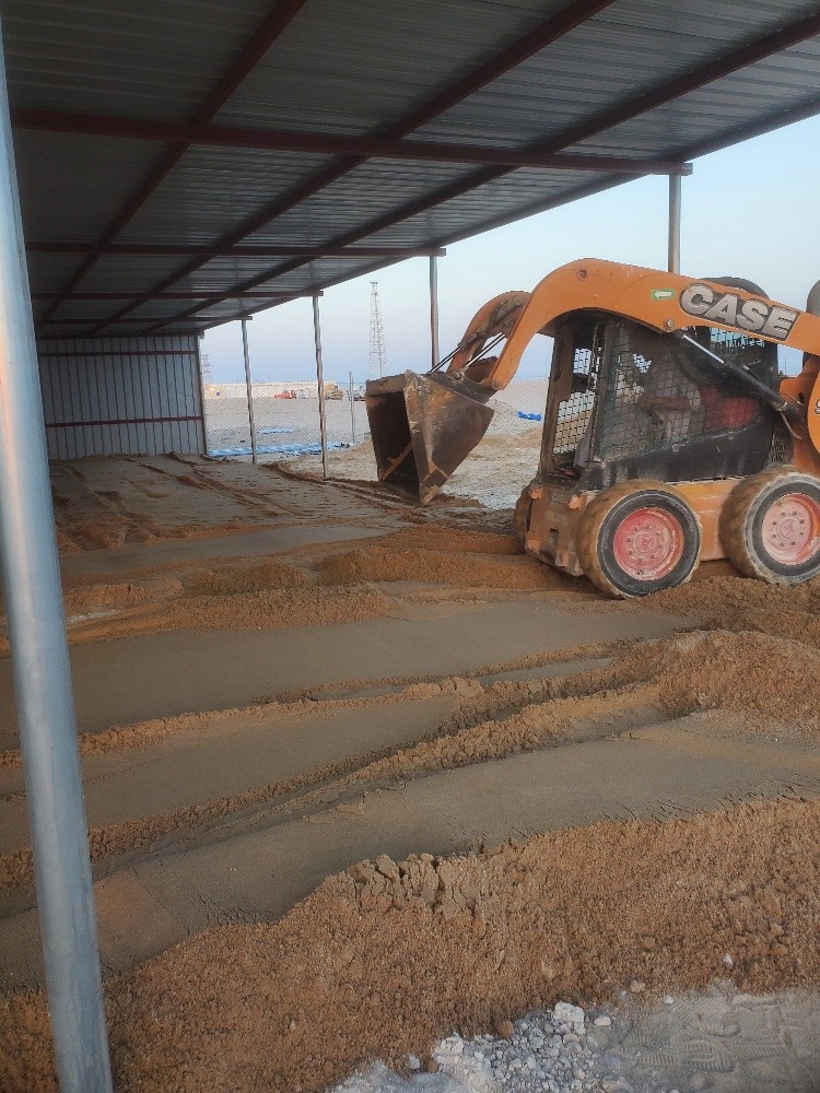 Bobcat - 3