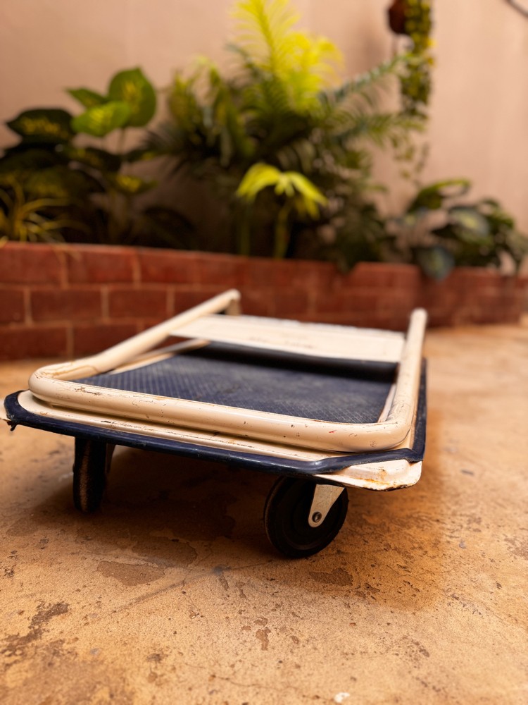 Heavy duty commercial trolly - 2