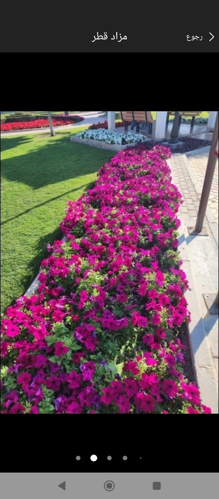 مزارع ومنسق حدائق - 4