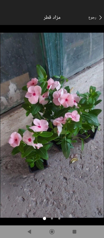 مزارع - 3