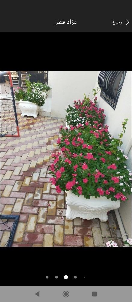 مزارع - 4