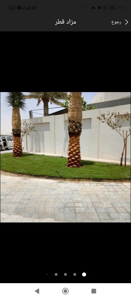 نخيل خدمات - 1