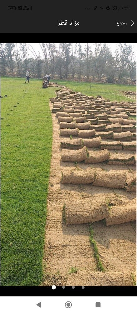 مزارع ومنسق حدائق - 4