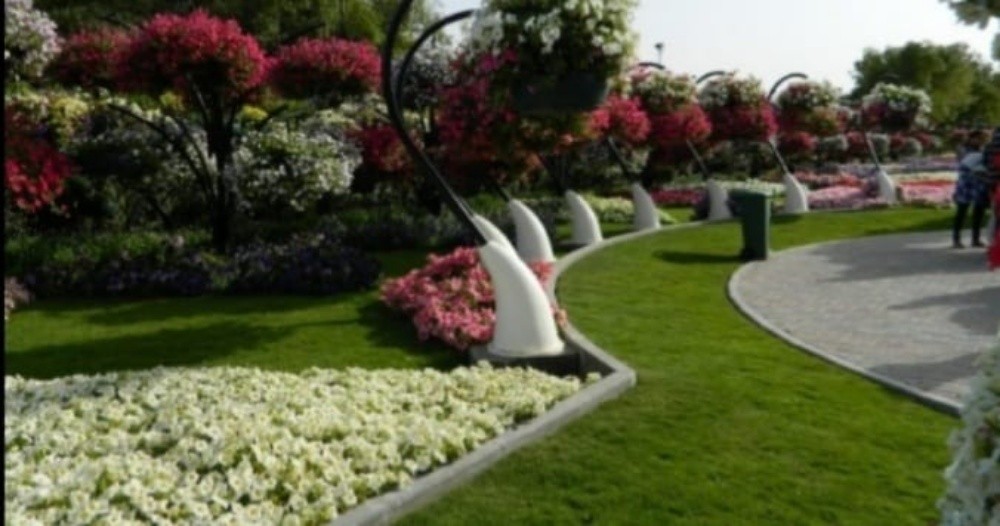 نخيل خدمات - 3