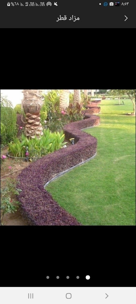 نخيل خدمات - 5