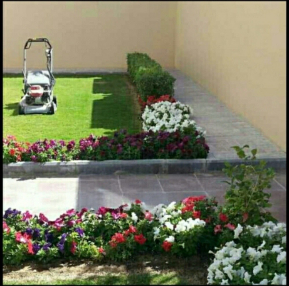 قص الحشيش ومتابعه شهريه للحدائق - 1