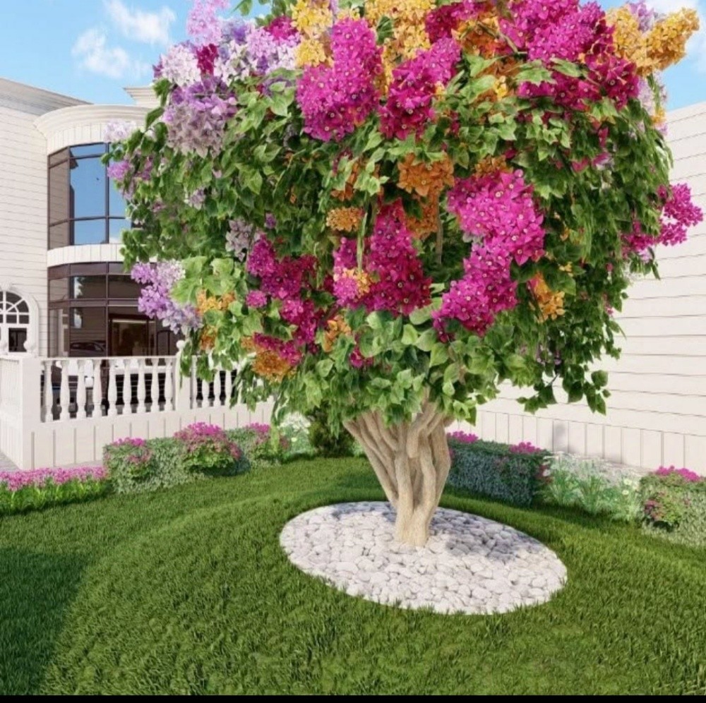 زراعه الحدائق - 4