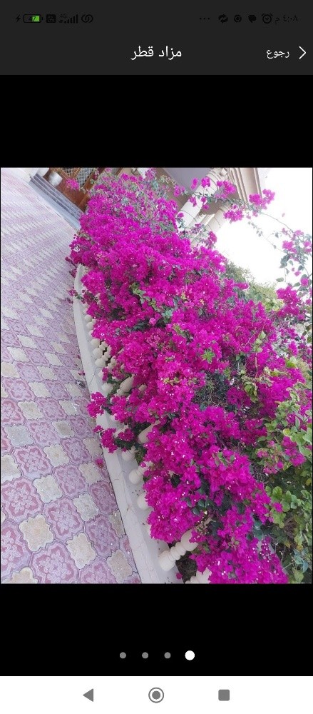 زراعه الورود والعشب - 8
