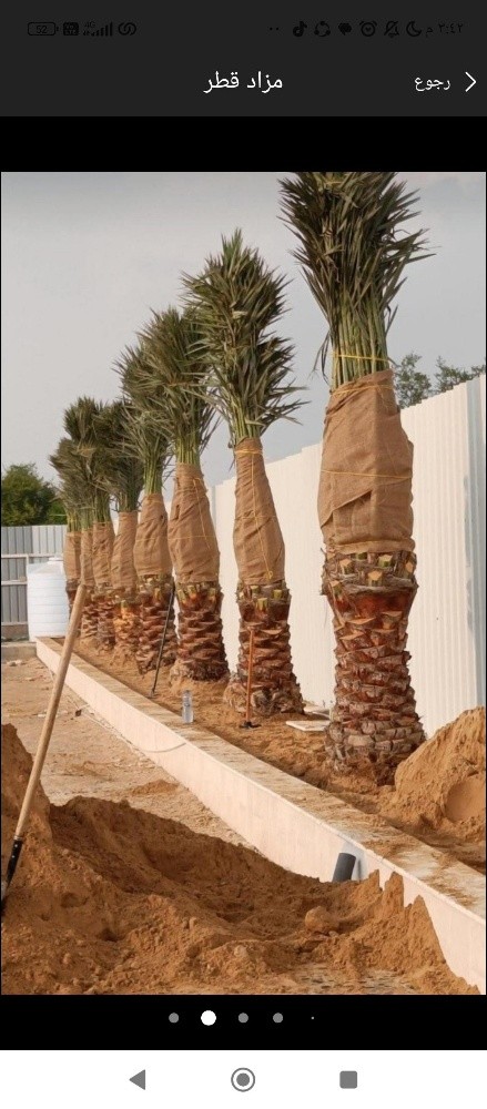 نخيل خدمات - 1