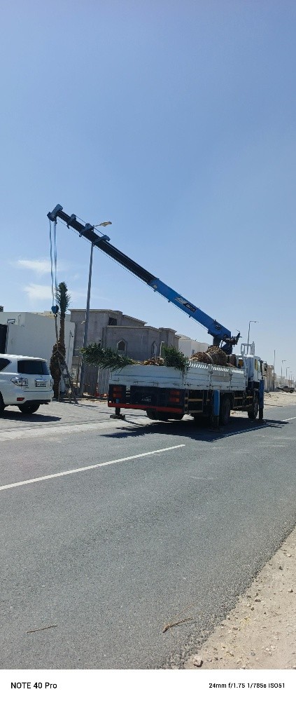 كرين 10طن 3 طن 7 طن لرفع الاوزان - 1