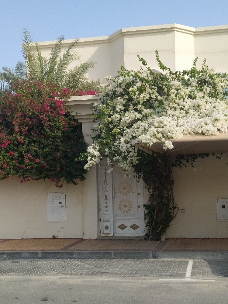 مهندس زراعي - 5