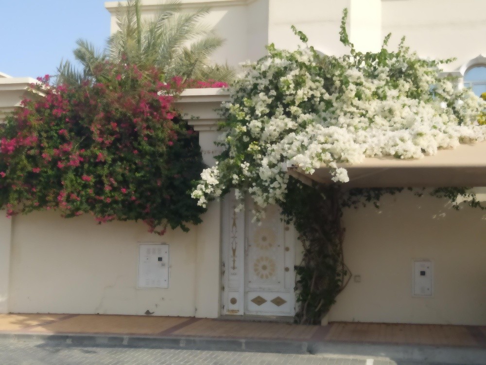 مهندس زراعي - 2