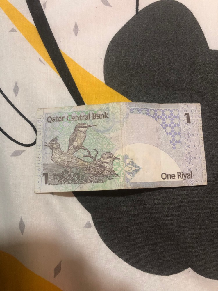 old qatari riyal - 2