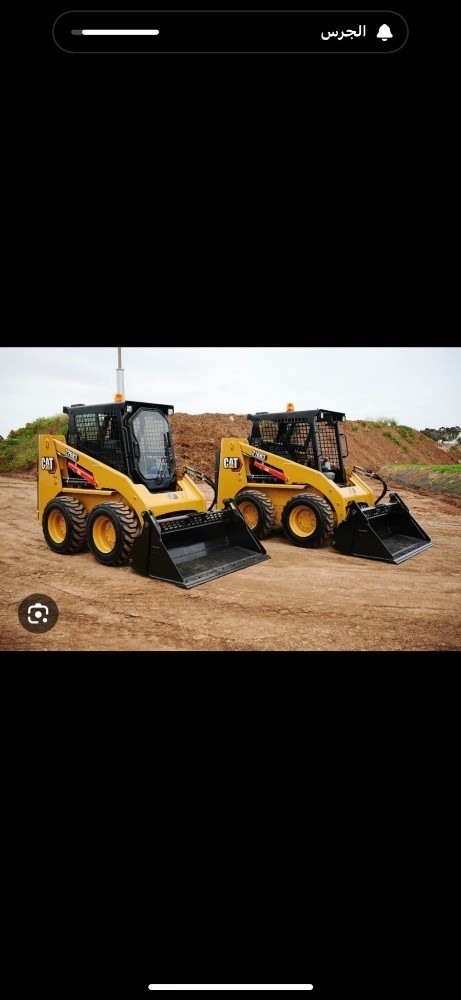Bobcat - 2