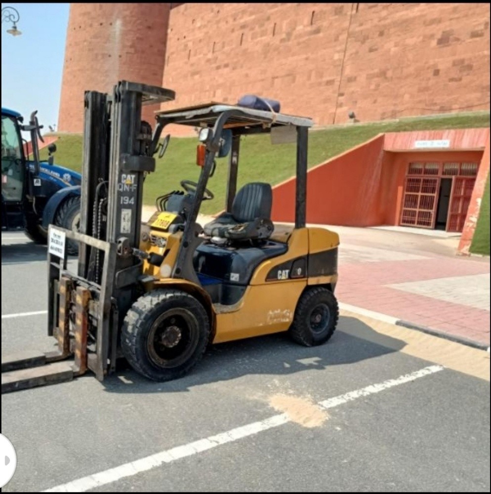 Bobcat - 3