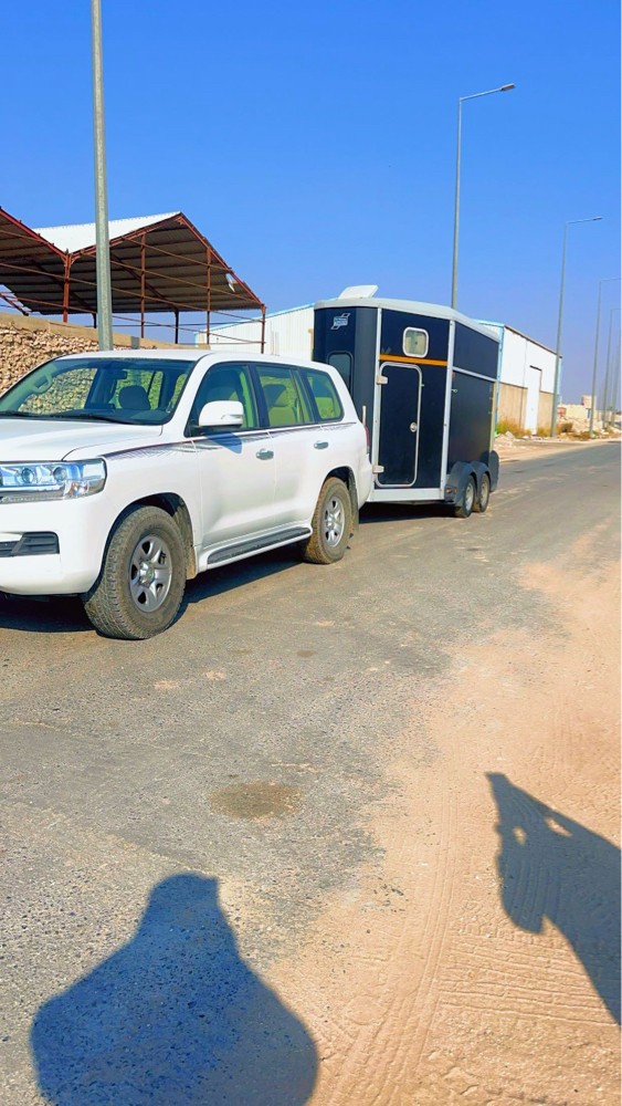 عربه نقل خيل للاجار +اجار بونيات - 2