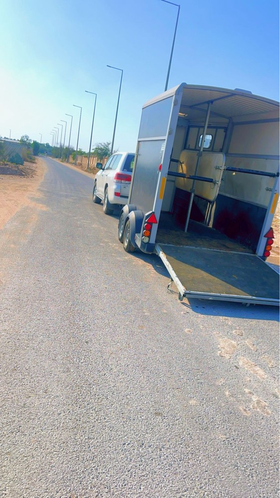 عربه نقل خيل للاجار +اجار بونيات - 1