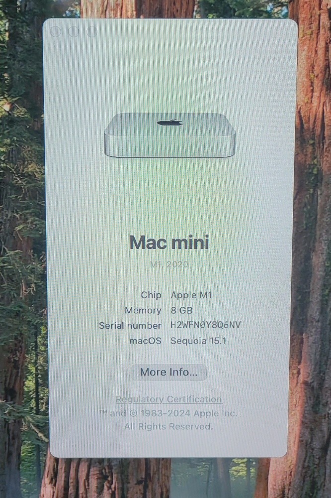 Apple Mac mini M1 2020 - 5