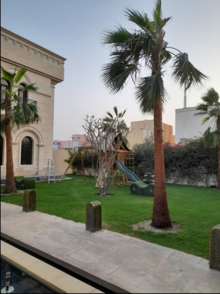 تركيب وتنظيف وبيع النخل - 12