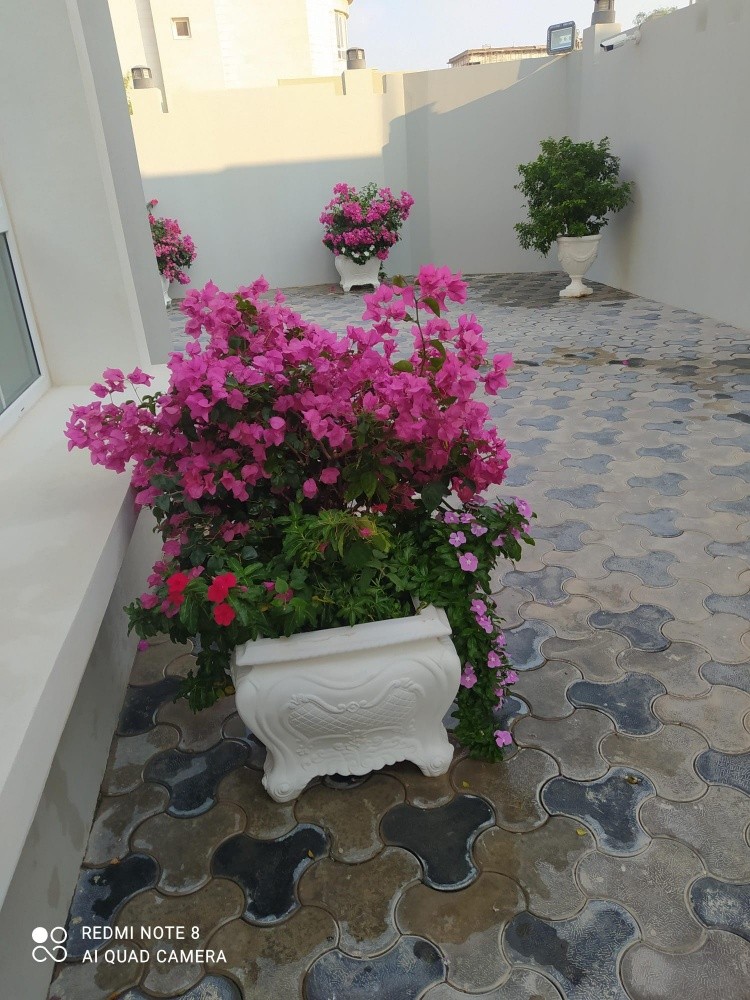 خبره ممتازه جدا - 2