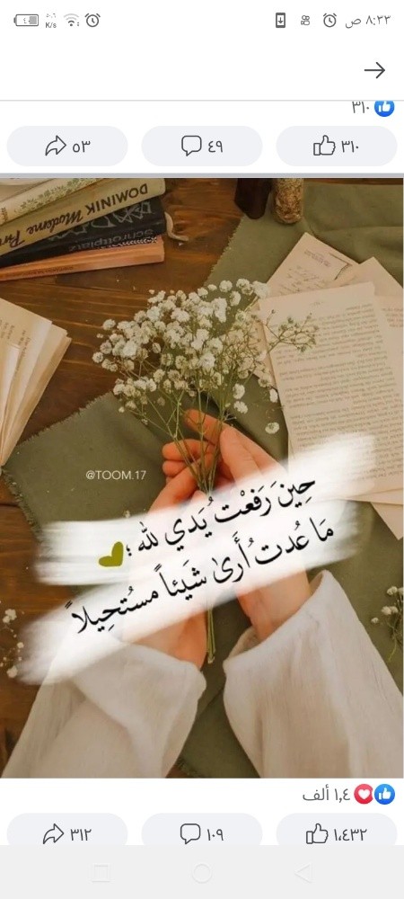 استضافه أطفال خبره واهتمام - 1
