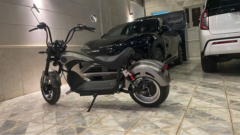 electric Harley - 5