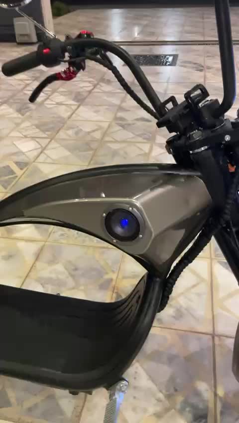 electric Harley - 1