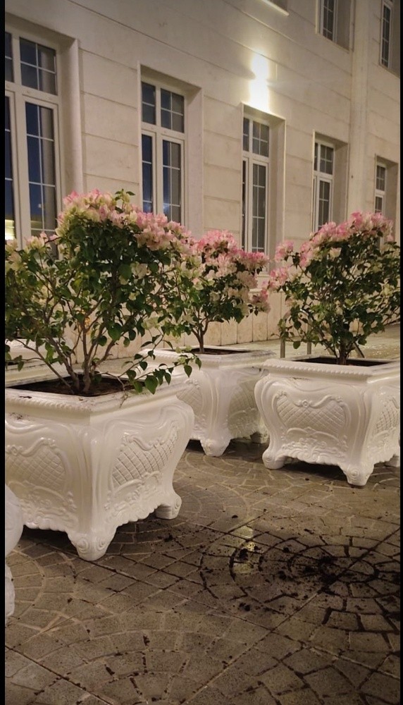 مهندس زراعي - 1