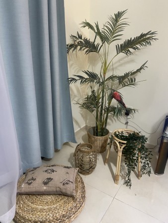 Furniture - 2