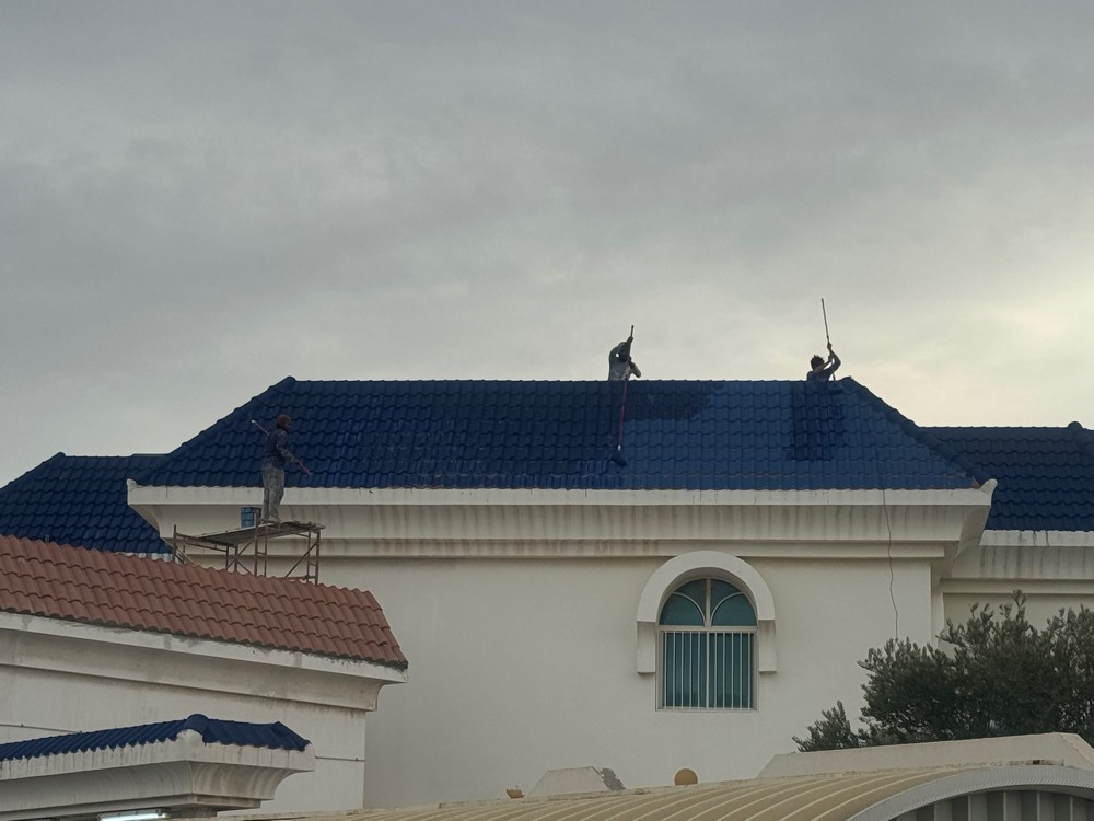اصباغ وجبس مغربي - 5