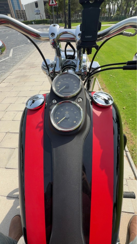 HARLEY DAVIDSON DYNA LOW RIDER - 1