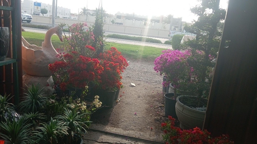 الجوهنميه - 2