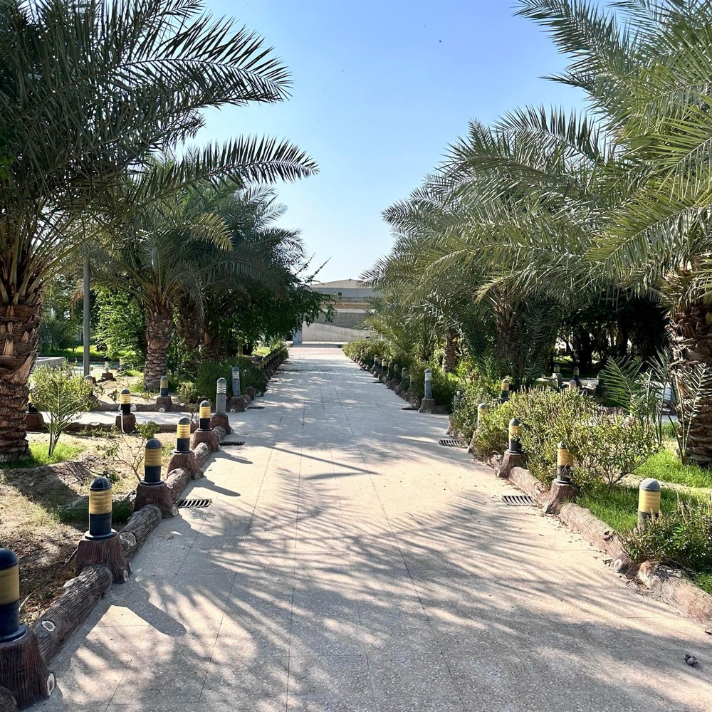 للبيع زرع بالجنوب - 1
