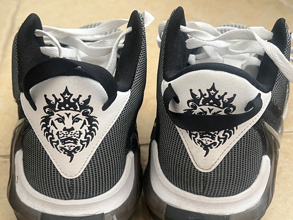 LeBron witness 7s - 2