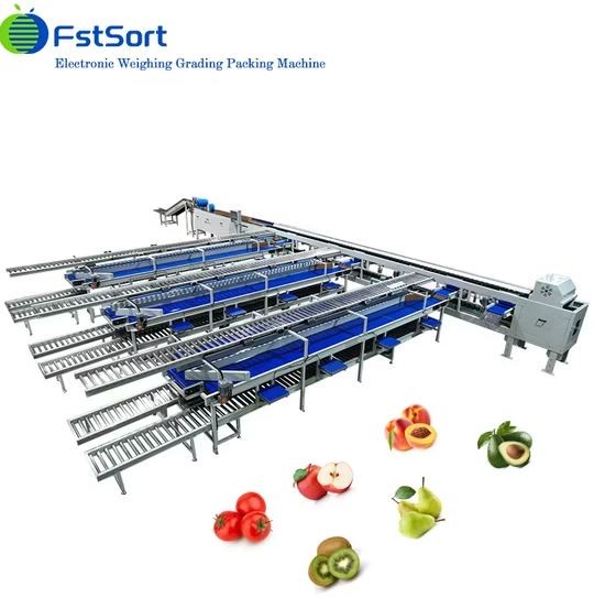 INDUSTRIAL FRUIT SORTING MACHINE - 5