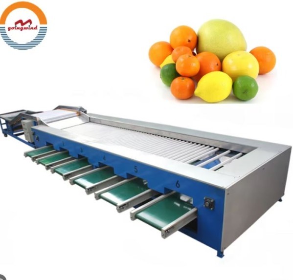 INDUSTRIAL FRUIT SORTING MACHINE - 2